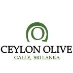 018.ceylon-olive-hotel