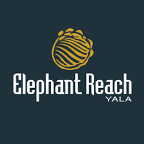 032.elephant-reach